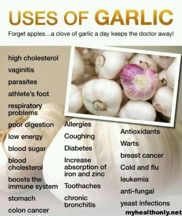 Benefits of Garlic Oil - Uses of garlic