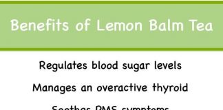 Health Benefits of Lemon Balm