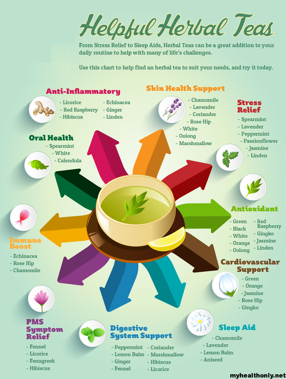 business plan for herbal tea