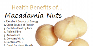 Benefits of Macadamia Nuts
