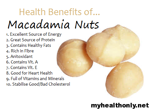 Benefits of Macadamia Nuts