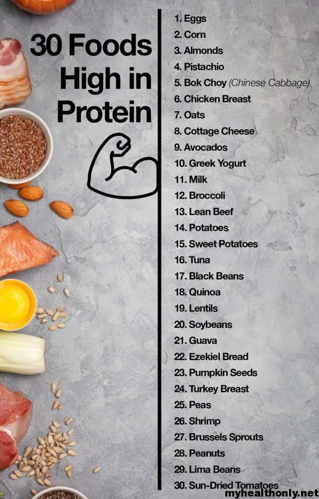 Top 10 High Protein Foods You Can Eat Daily My Health Only