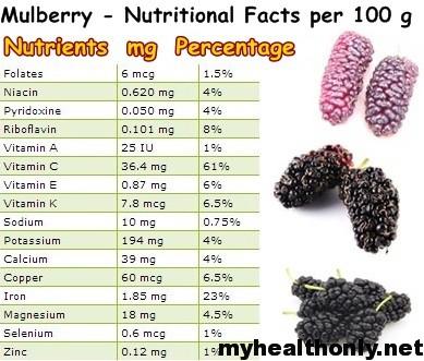 Mulberries Nutritional Value