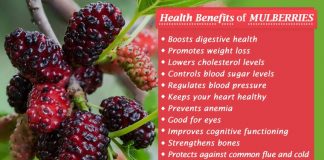 Benefits of Mulberry