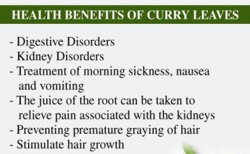 Benefits of Curry Leaves