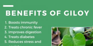 Marvelous Benefits of Giloy