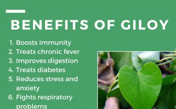 Marvelous Benefits of Giloy