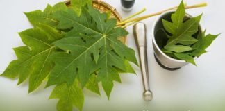 Benefits of Papaya Leaf Juice