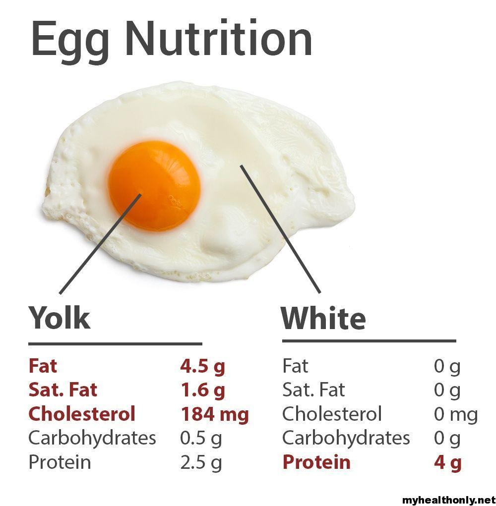 Tremendous Health Benefits of Egg Yolk- My Health Only