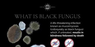 Mucormycosis: Black Fungus Infection