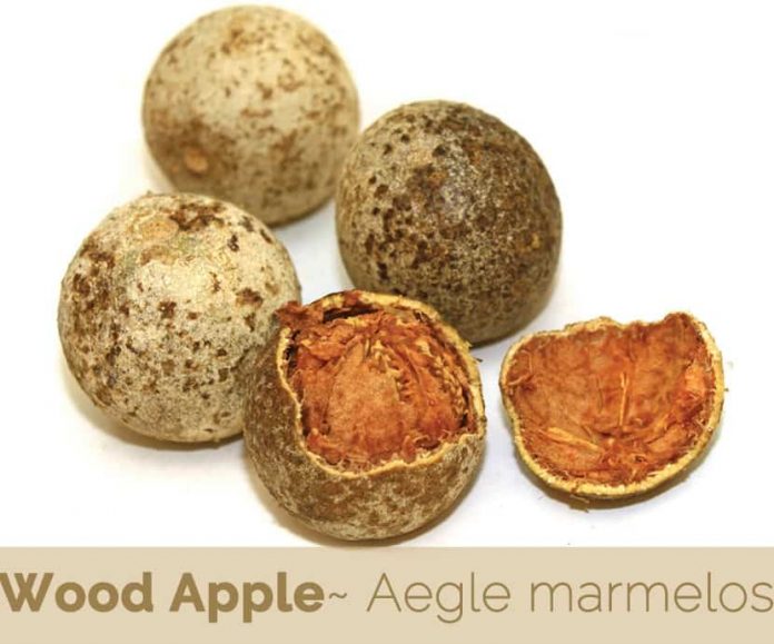 Health Benefits of Wood Apple