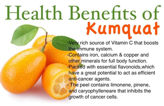 Health Benefits of Kumquat