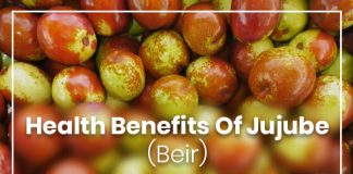 Benefits of Jujube Fruit