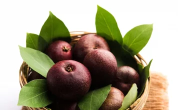 Health Benefits of Kokum Fruit