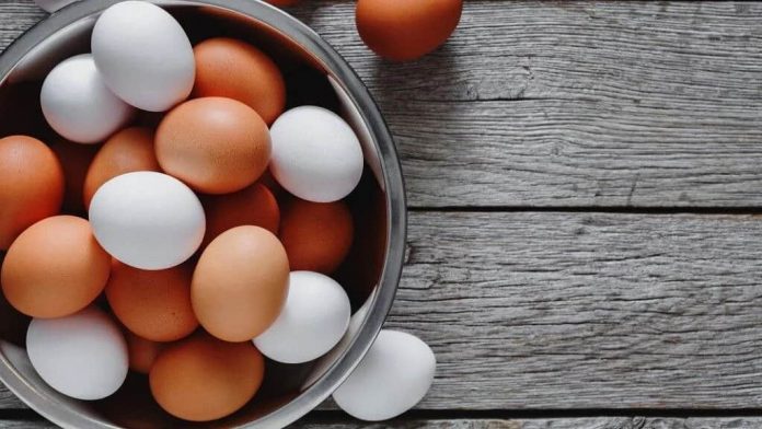 Should you eat eggs in summer?