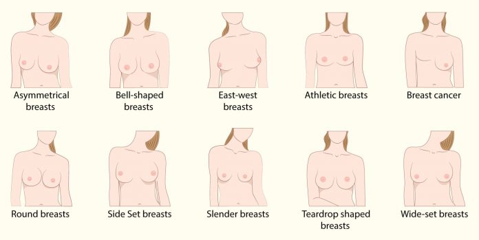 Different Breast Shapes