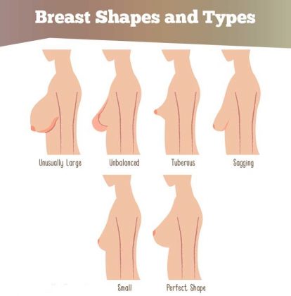 different boob shapes real