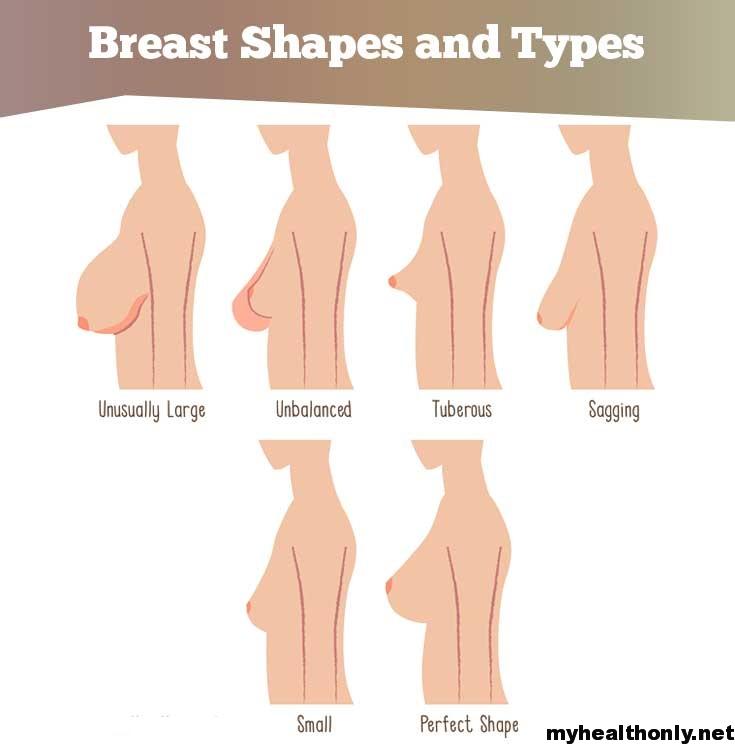 Different Types of Boobs