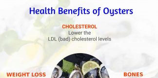 Benefits of Oysters