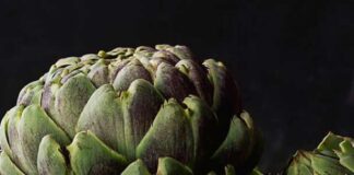 cropped-14-Amazing-Benefits-Of-Artichokes-For-Skin-Hair-And-Health-1.jpg