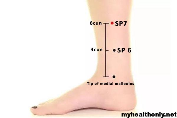 Inner Ankle – Sanyinjiao (SP6) | Acupressure Points | Acupuncture Points