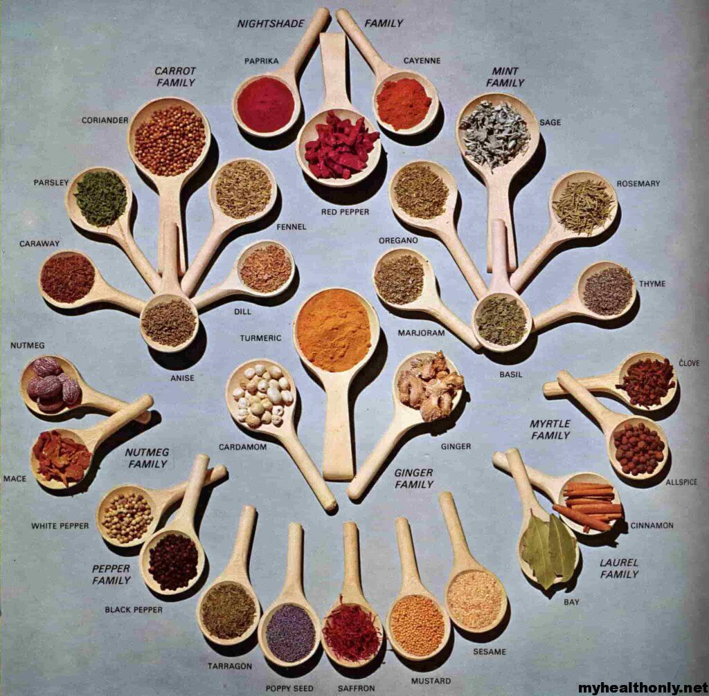 Spice Types