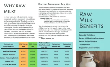 Benefits Of Raw Milk