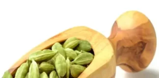 cropped-Science-Proven-Cardamom-Benefits-For-Skin-Hair-Health.jpg.webp