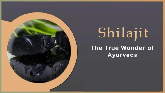 Benefits Of Shilajit