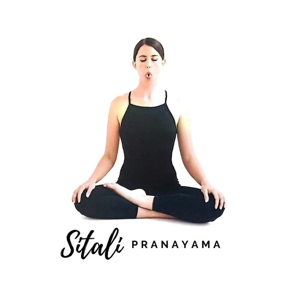 To pacify the body's heat during the summer months and the hottest parts of the day, Sitali's breath is encouraged in Ayurveda. Breathing this breath is said to reduce fatigue, bad breath, fevers, and high blood pressure, as well as calm thirst and hunger.
