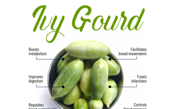 Benefits Of Ivy Gourd