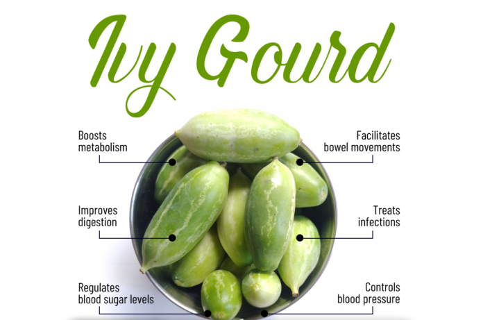 Benefits Of Ivy Gourd