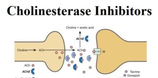 Cholinesterase Inhibitors