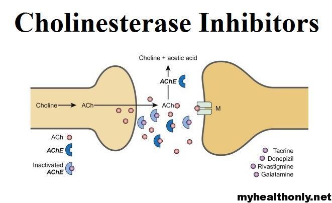 Cholinesterase Inhibitors