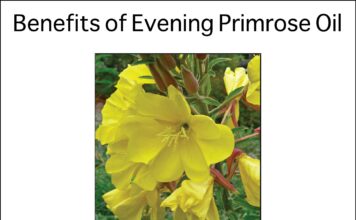 Benefits Of Evening Primrose Oil