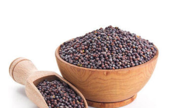 What Are the Health Benefits of Mustard Seed
