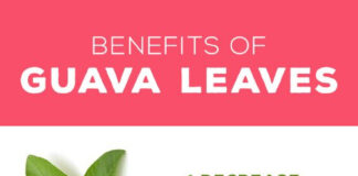 Benefits of Guava Leaf