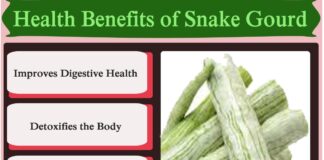 Benefits Of Snake Gourd