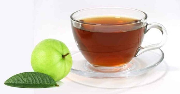 Benefits Of Guava Leaf Tea