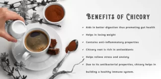 Benefits Of Chicory