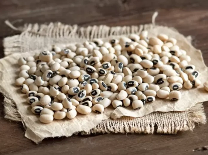 What you need to know about cowpeas: Uses, Benefits, and Side Effects
