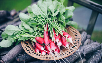 A plate filled with fresh radish leaves and a variety of dishes made with them, showcasing different ways to include radish leaves in your diet.