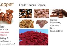 Copper - Health Benefits, Deficiency Signs, and Side Effects: Learn about the positive impacts of copper on health, signs of deficiency, and potential side effects. Explore the essential role of copper in the body and its contribution to overall well-being.