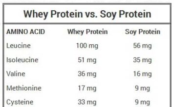 A comparison of soy protein and whey protein, highlighting their pros and cons to help determine which may be a better choice for individual dietary preferences and health goals.