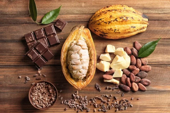 Discover the Health Benefits of Cacao Fruit: Packed with Antioxidants, Vitamins, and Minerals. Boost Your Immune System and Improve Heart Health with Cacao Fruit Consumption.