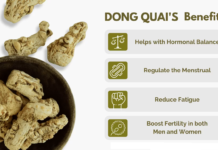 Dong Quai benefits: This traditional herb is known for its potential health advantages, including hormone balance, menstrual cycle support, and menopause relief. It's also thought to promote blood circulation and overall well-being.