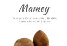Mamey Sapote Benefits: A Delicious Tropical Fruit Packed with Nutrients. Enjoy its Sweet Flavor while Boosting Your Health!