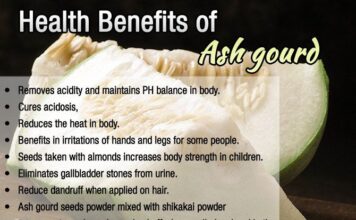 Fresh Ash Gourd with Leaves – Discover the Health Benefits of Ash Gourd Including Weight Loss, Digestion, Hydration, and More