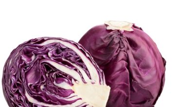 Fresh red cabbage, a nutrient-rich vegetable with vibrant purple leaves, offers numerous health benefits. From bolstering immunity to promoting heart health and aiding digestion, red cabbage is a versatile addition to any diet. Discover its antioxidant properties and essential vitamins for optimal wellness.